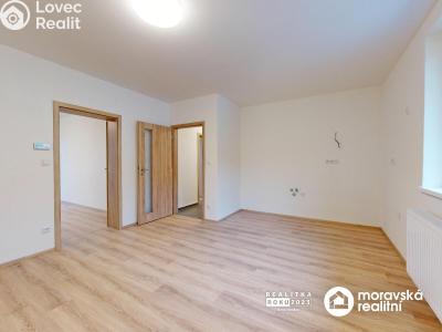 Продаж квартири 3+KK Vémyslice č. 2