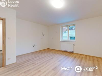Продаж квартири 3+KK Vémyslice č. 3