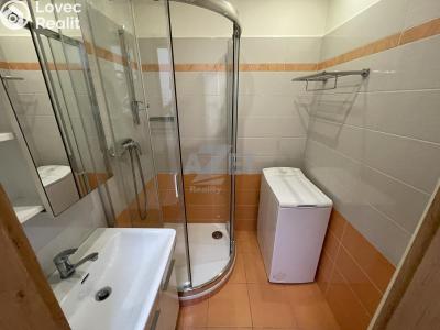 Sale apartment 2+1 Český Těšín, Slezská č. 3