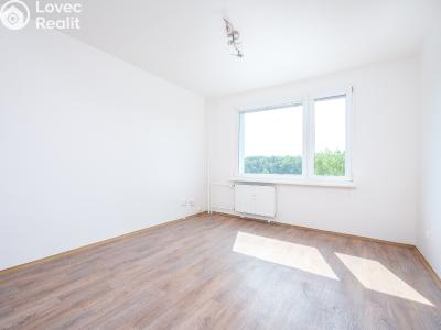Prodej bytu 1+1 Pardubice, Lidmily Malé 825 č. 4