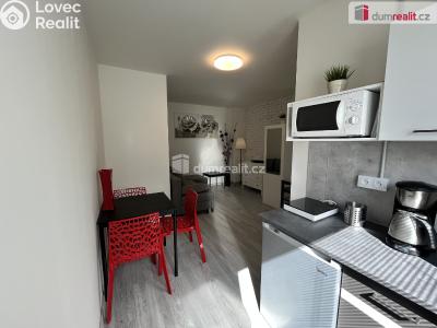 Pronájem bytu 1+KK Kačice, K zahradě č. 4