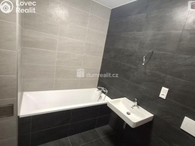 Pronájem bytu 3+KK Plzeň, Plaská č. 6