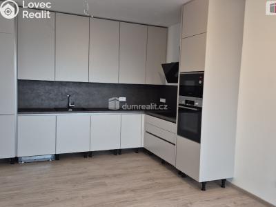 Rent apartment 3+KK Plzeň, Plaská č. 4