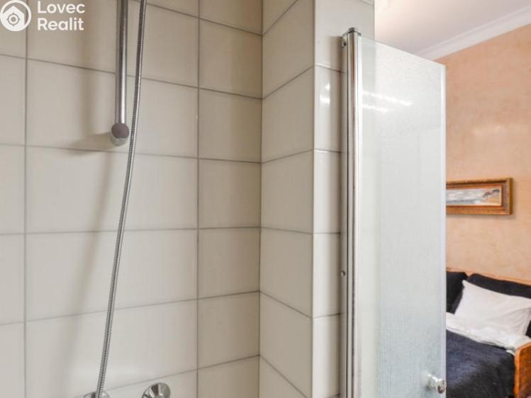 Pronájem bytu 1+1 Praha, Hálkova č. 7