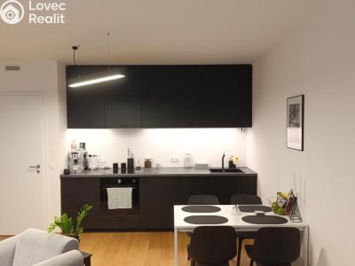 Rent apartment 1+KK Praha, Vrátnická č. 3