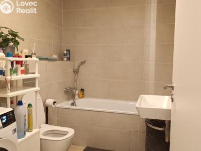 Rent apartment 1+KK Praha, Vrátnická č. 4