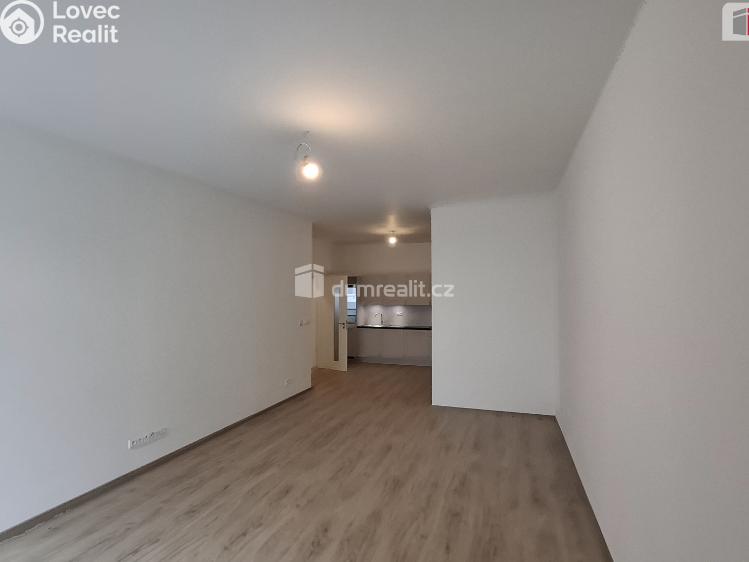 Pronájem bytu 2+KK Plzeň, Plaská č. 9