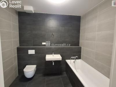 Pronájem bytu 2+KK Plzeň, Plaská č. 4