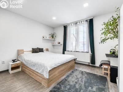 Pronájem rodinného domu Pardubice, Hradišťská 37 č. 3