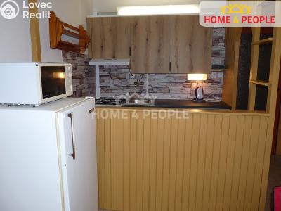 Rent apartment 1+1 Plzeň, Skupova č. 6