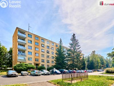 Sale apartment 3+1 Sokolov, Švabinského č. 1