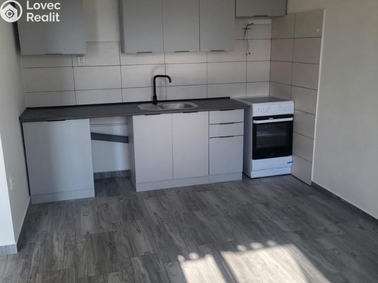 Pronájem bytu 3+1 Děčín, V Sídlišti 390 č. 3