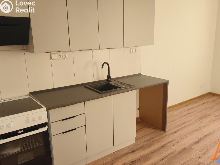 Pronájem bytu 3+1 Děčín, V Sídlišti 390 č. 19