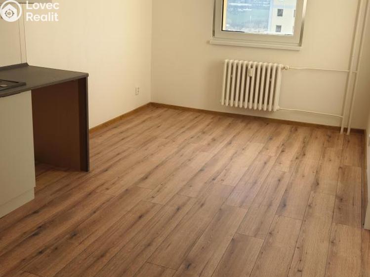 Pronájem bytu 3+1 Děčín, V Sídlišti 390 č. 3