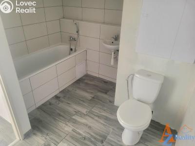 Pronájem bytu 3+1 Děčín, V Sídlišti 390 č. 4