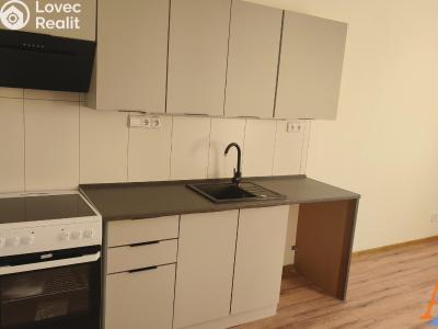 Pronájem bytu 3+1 Děčín, V Sídlišti 390 č. 4