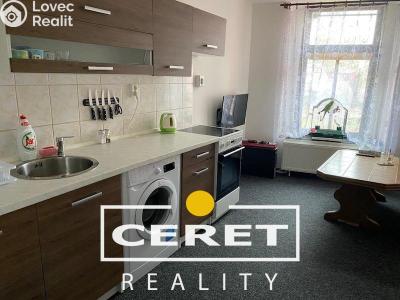 Rent apartment 1+1 Žatec, náměstí 5. května č. 1
