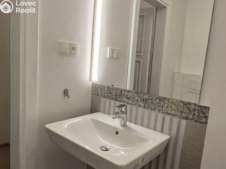 Pronájem bytu 1+KK Praha, Žerotínova č. 5