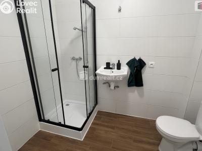 Pronájem bytu 1+KK Uhlířské Janovice, K Hájkům 879 č. 6