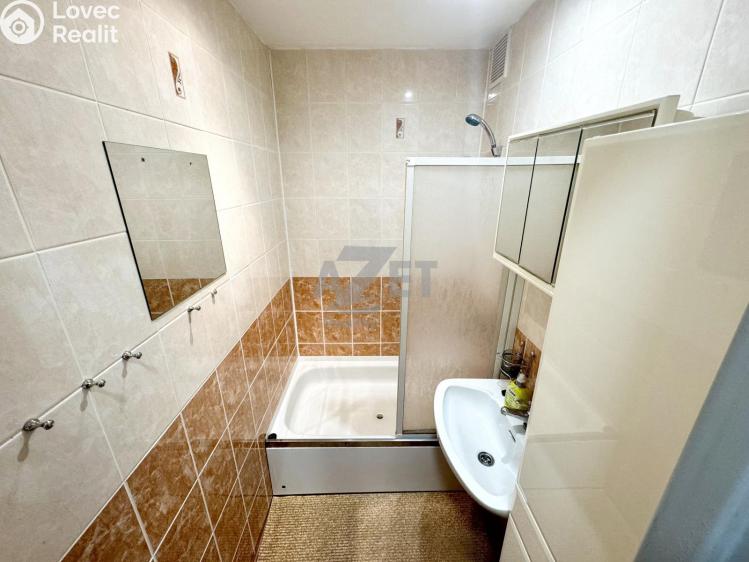 Pronájem bytu 1+1 Orlová, Masarykova třída 1010 č. 4