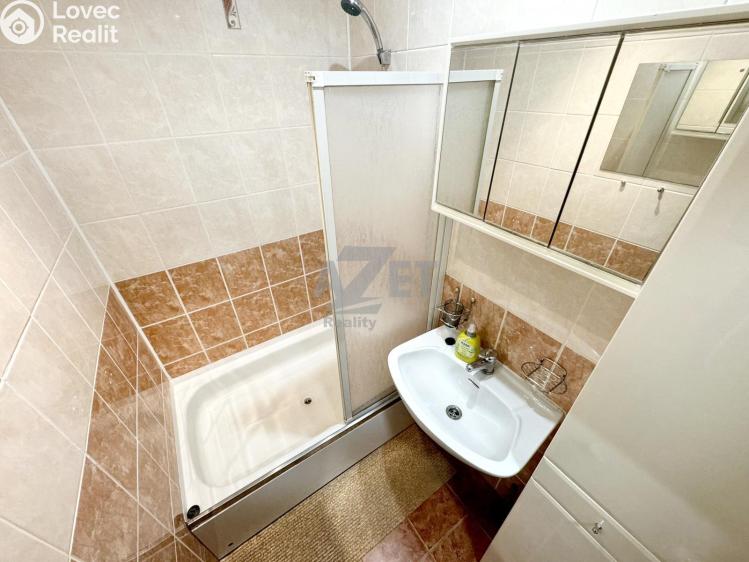 Pronájem bytu 1+1 Orlová, Masarykova třída 1010 č. 13