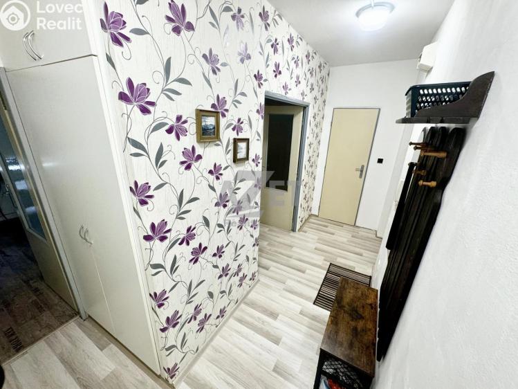 Pronájem bytu 1+1 Orlová, Masarykova třída 1010 č. 14