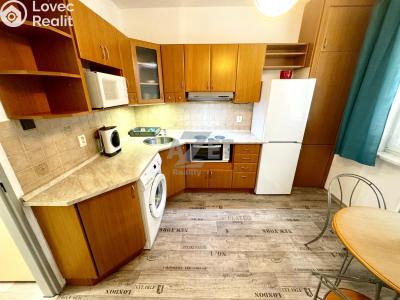 Rent apartment 1+1 Orlová, Masarykova třída 1010 č. 3