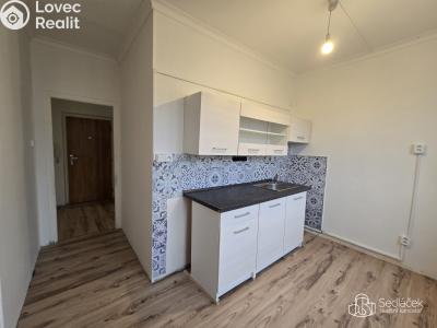 Rent apartment 1+1 Chodov, Vítězná č. 3