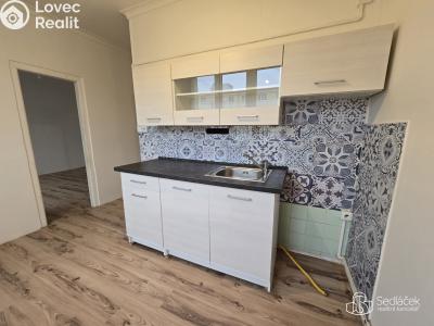 Rent apartment 1+1 Chodov, Vítězná č. 4