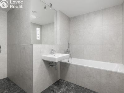 Sale apartment 3+KK Praha č. 2