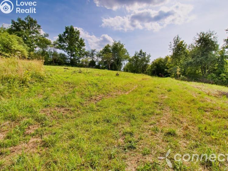 Prodej stavebního pozemku Český Šternberk č. 8