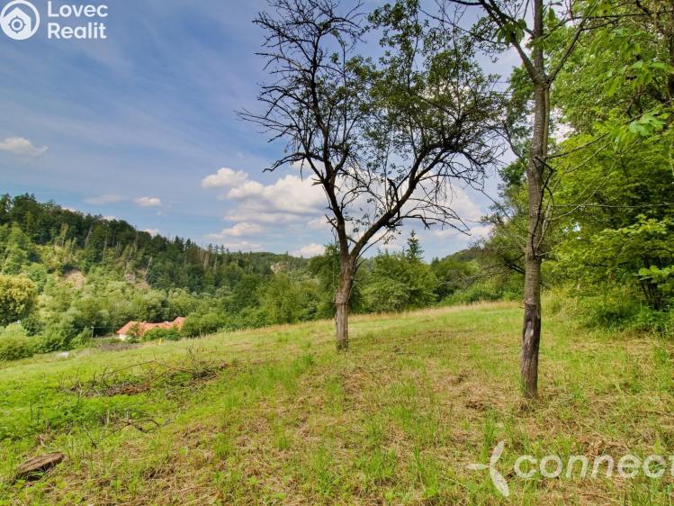Prodej stavebního pozemku Český Šternberk č. 1