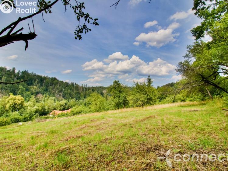 Prodej stavebního pozemku Český Šternberk č. 2