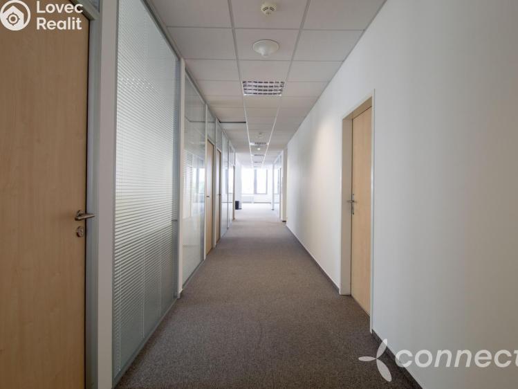 Rent office space Praha, Rohanské nábřeží 671/15 č. 15