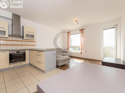 Pronájem bytu 2+KK Praha, K Netlukám č. 1