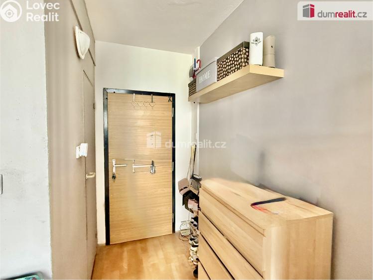 Pronájem bytu 1+1 Ústí nad Labem, Kmochova č. 6