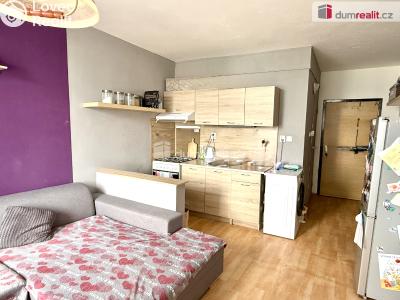 Rent apartment 1+1 Ústí nad Labem, Kmochova č. 4