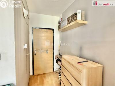 Rent apartment 1+1 Ústí nad Labem, Kmochova č. 6