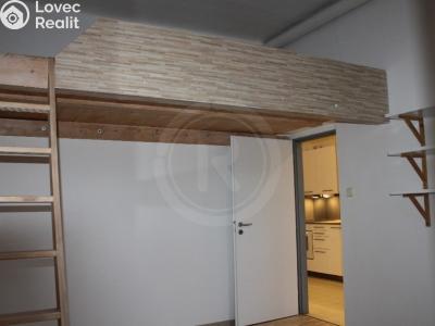 Pronájem bytu 2+KK České Budějovice, Fráni Šrámka č. 3