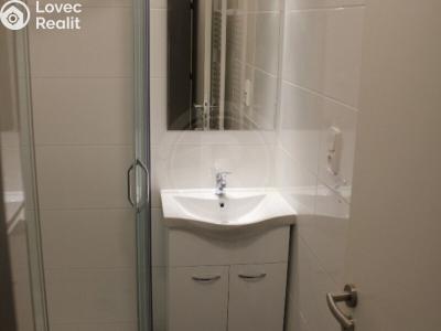 Pronájem bytu 2+KK České Budějovice, Fráni Šrámka č. 5