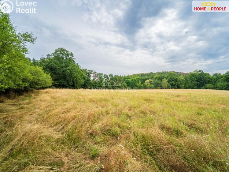 Prodej stavebního pozemku Vrchotovy Janovice č. 7