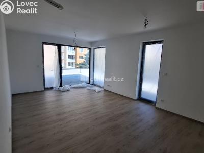 Pronájem bytu 2+KK Plzeň, Plaská č. 4