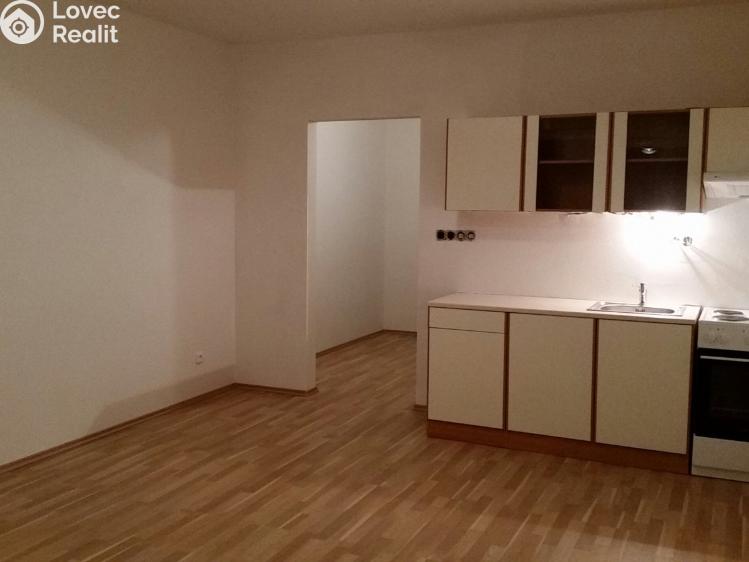 Pronájem bytu 1+KK Tábor, Nad Řekou 3100 č. 1