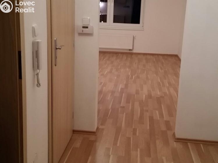 Pronájem bytu 1+KK Tábor, Nad Řekou 3100 č. 3
