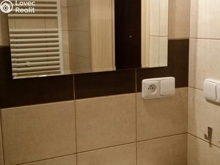 Pronájem bytu 1+KK Tábor, Nad Řekou 3100 č. 5