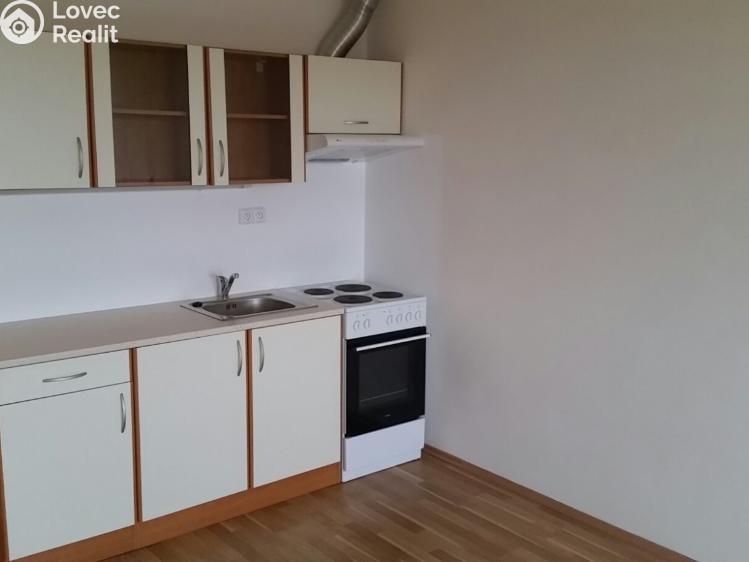 Pronájem bytu 1+KK Tábor, Nad Řekou 3100 č. 8