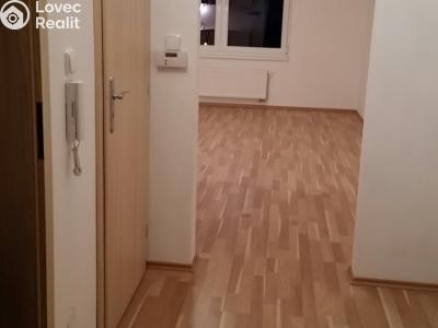 Pronájem bytu 1+KK Tábor, Nad Řekou 3100 č. 3