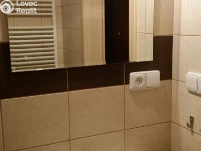 Pronájem bytu 1+KK Tábor, Nad Řekou 3100 č. 5