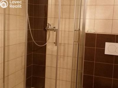 Pronájem bytu 1+KK Tábor, Nad Řekou 3100 č. 6