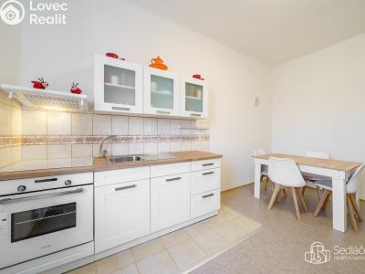 Rent apartment 1+1 Karlovy Vary č. 1